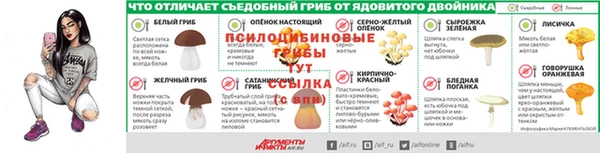 дмт Белокуриха