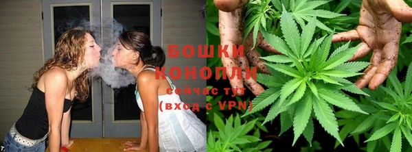 дмт Белокуриха